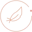 Leaf icon