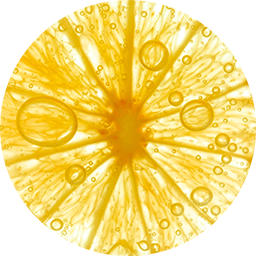 Estratti di Frutta di Arancia, Limone e Mirtillo