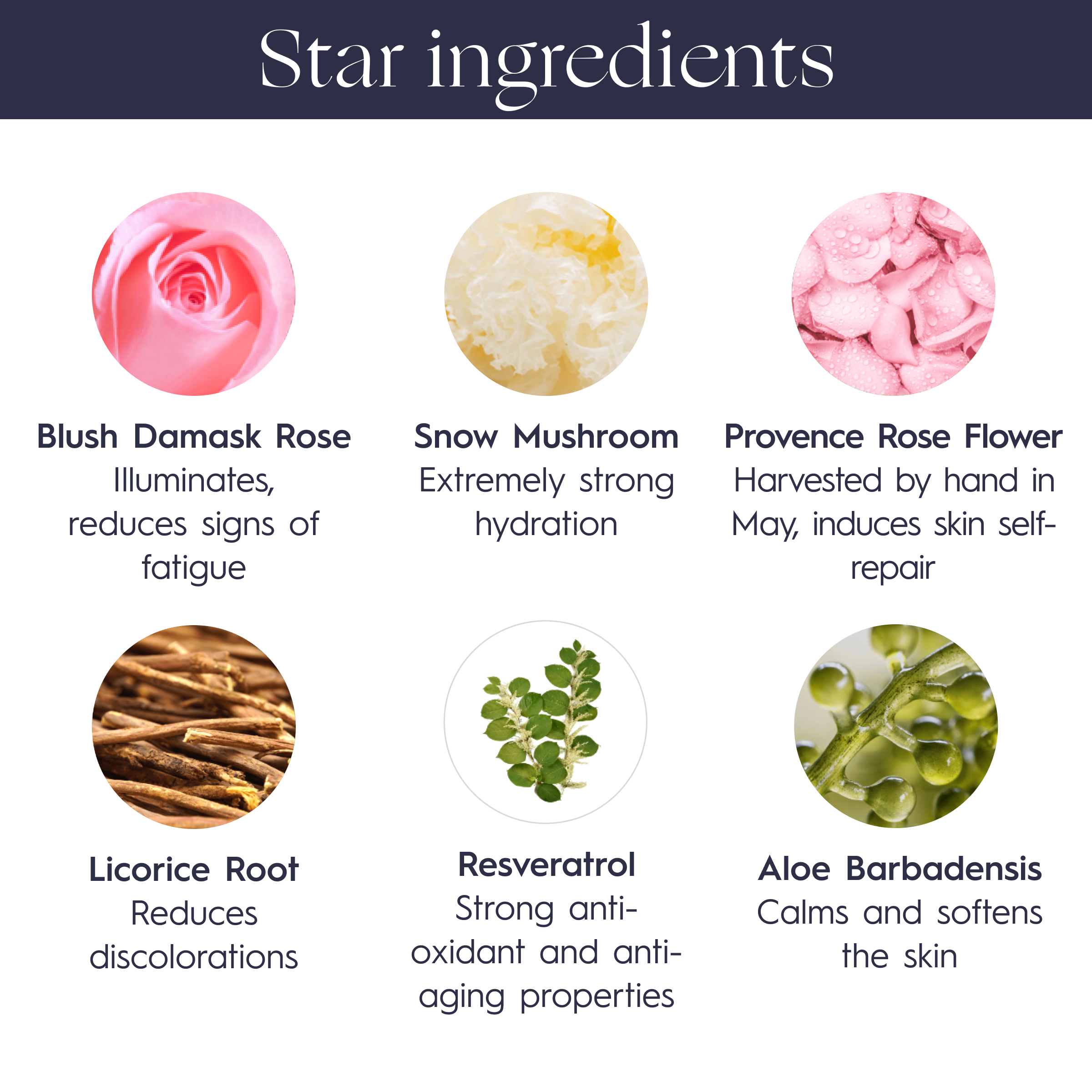 7 - ANTI-WRINKLE Rose Supreme Cream