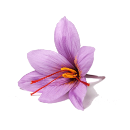 Saffron Flower extract