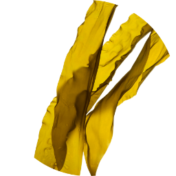 Hydrolized Algin