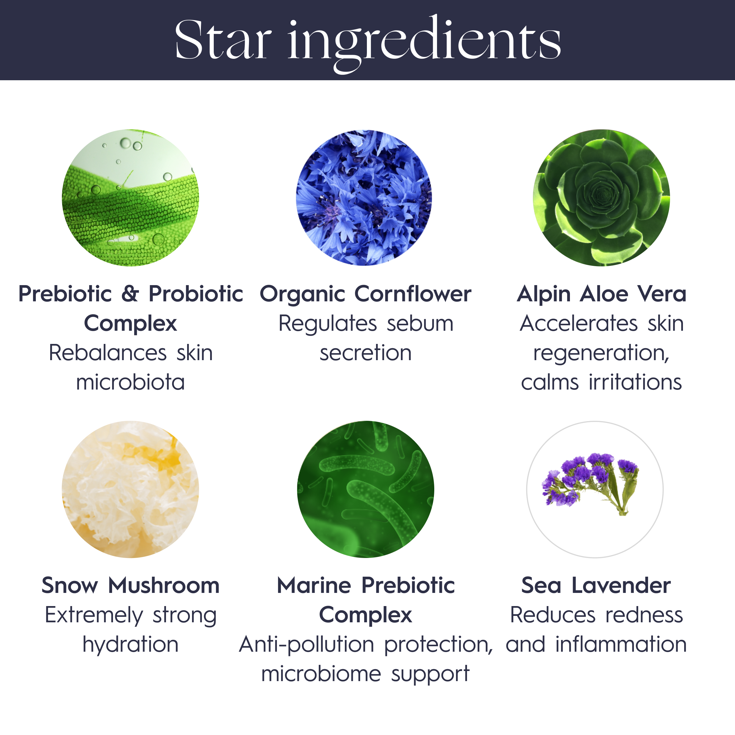 7 - HYDRATION & DETOX DISCOVERY KIT (2)