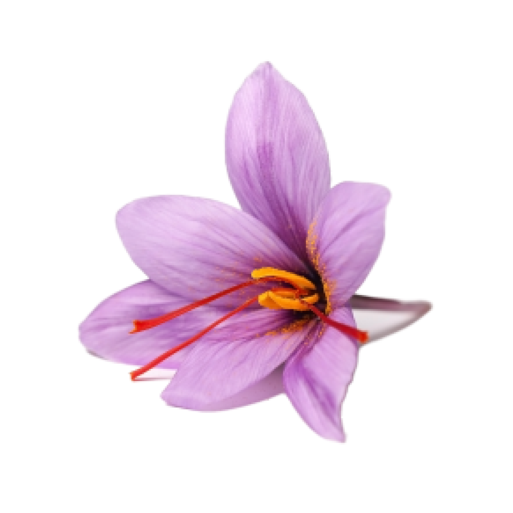 Saffron Flower extract