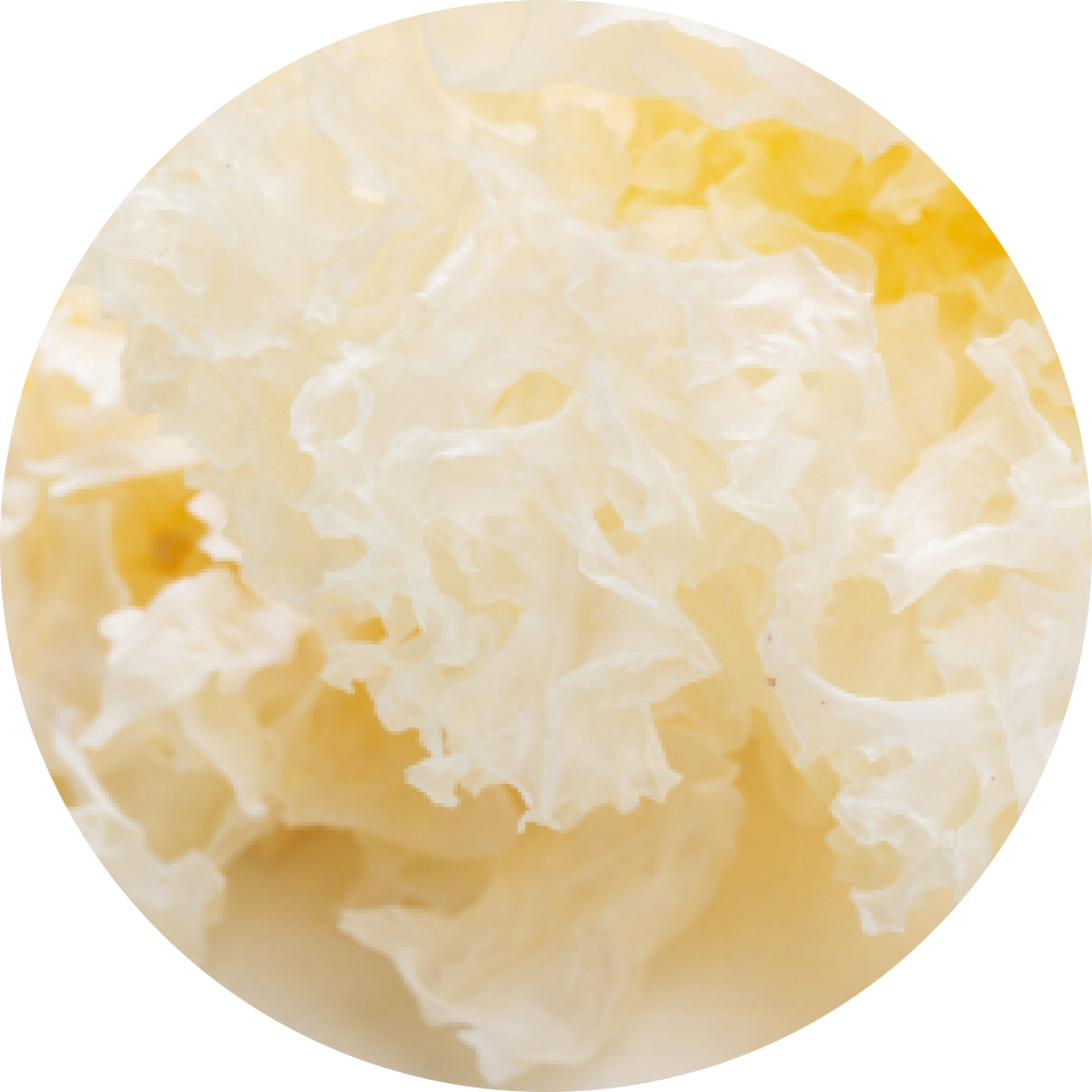 Estratto di Fungo della Neve (Tremella Fuciformis Sporocarp)